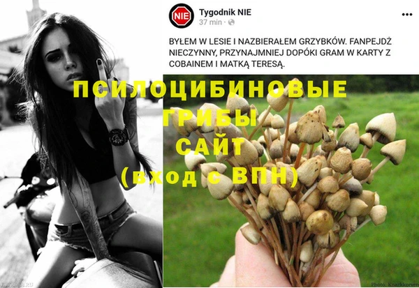 герыч Лагань