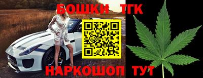 винт Канаш