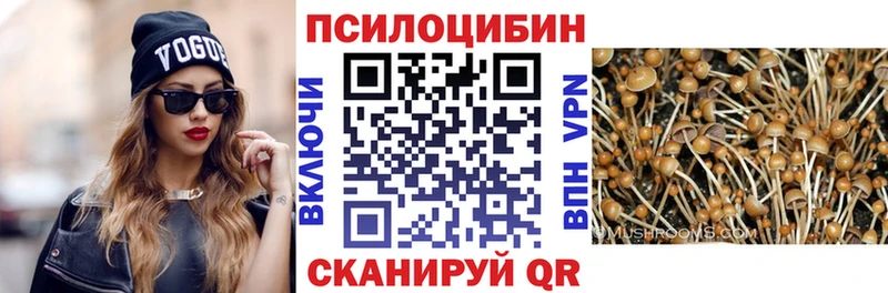 мега ссылки  Людиново  Галлюциногенные грибы прущие грибы 