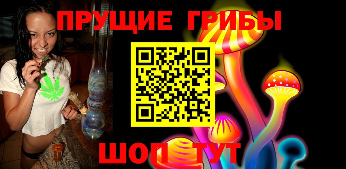 Галлюциногенные грибы Psilocybe  Вход с VPN  Людиново 